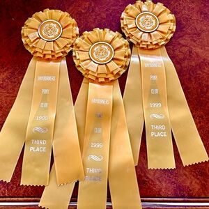 Vintage Horse Show Ribbons
